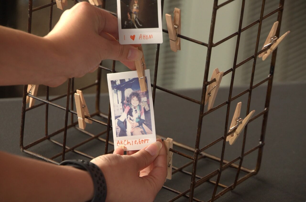 10d6d5c2-d52d-4f96-838c-96bd1604a76f