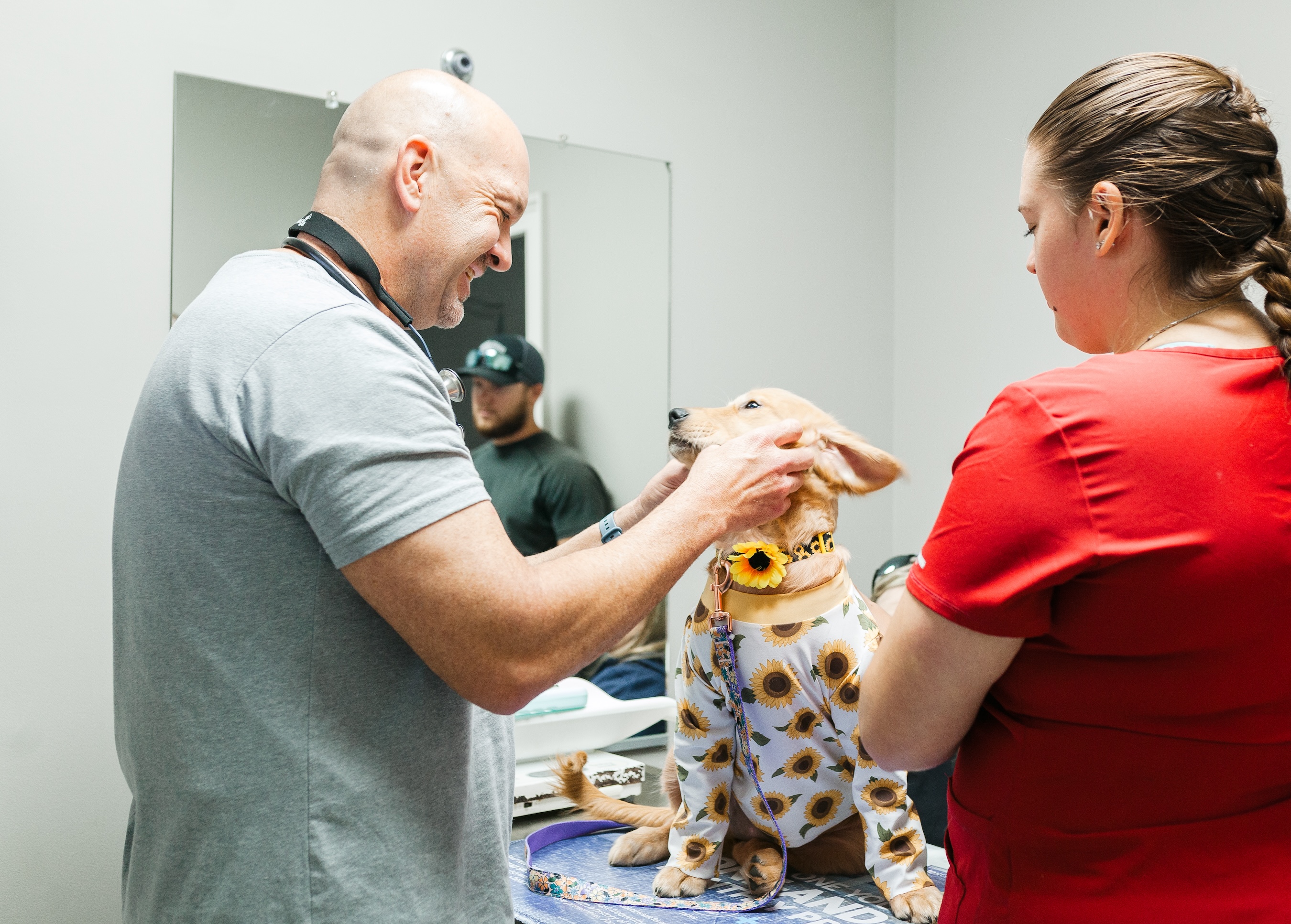 Puppy exam