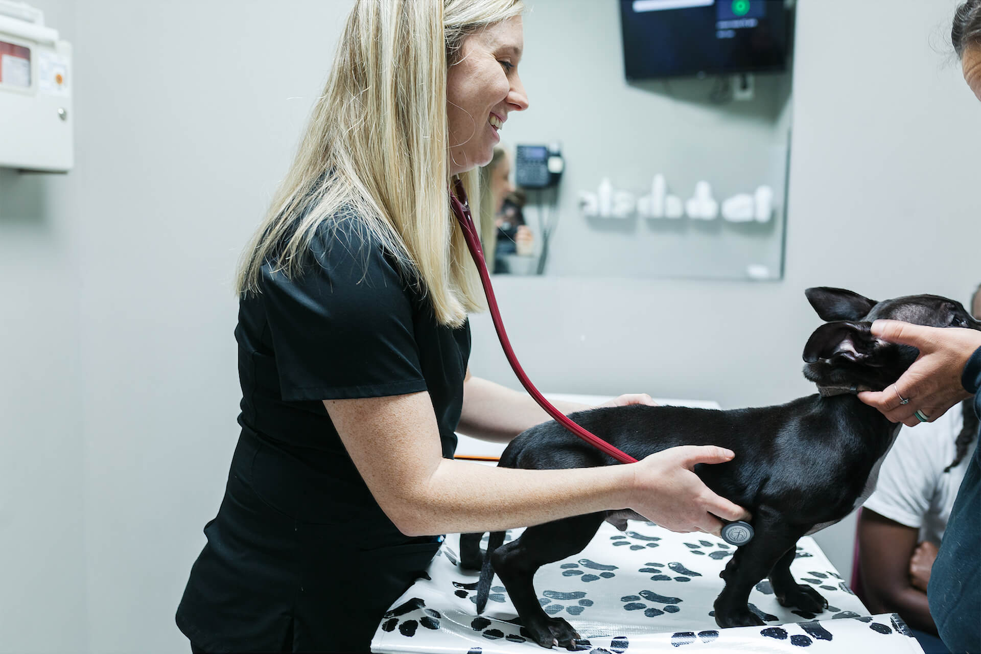 Animal Hospital in Mebane