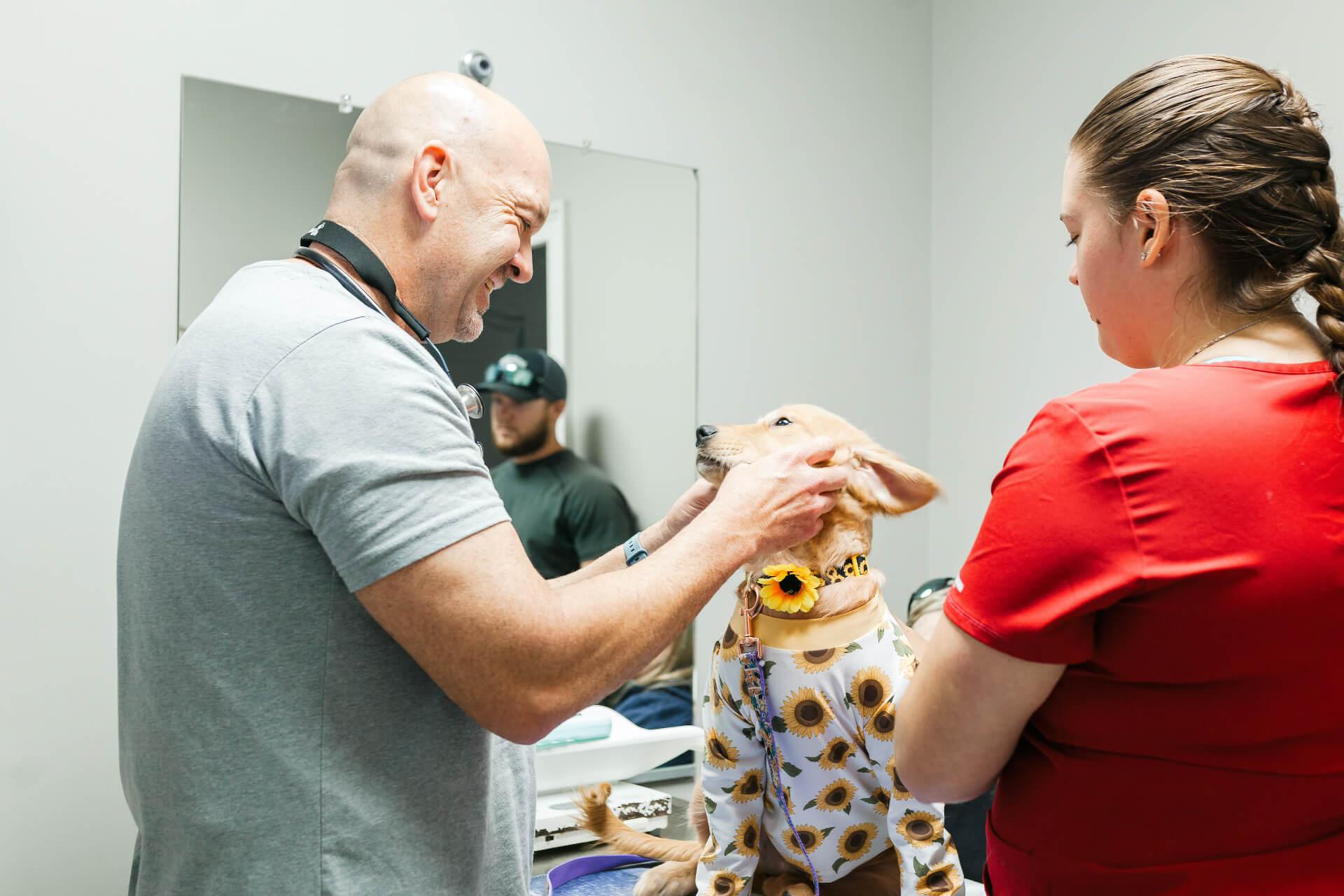 Veterinary hospital in Mebane