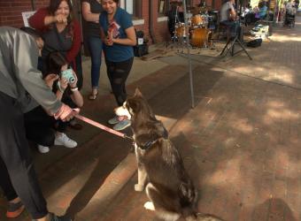 Woofstock 2019