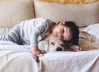 How To Transition Pets Back To School