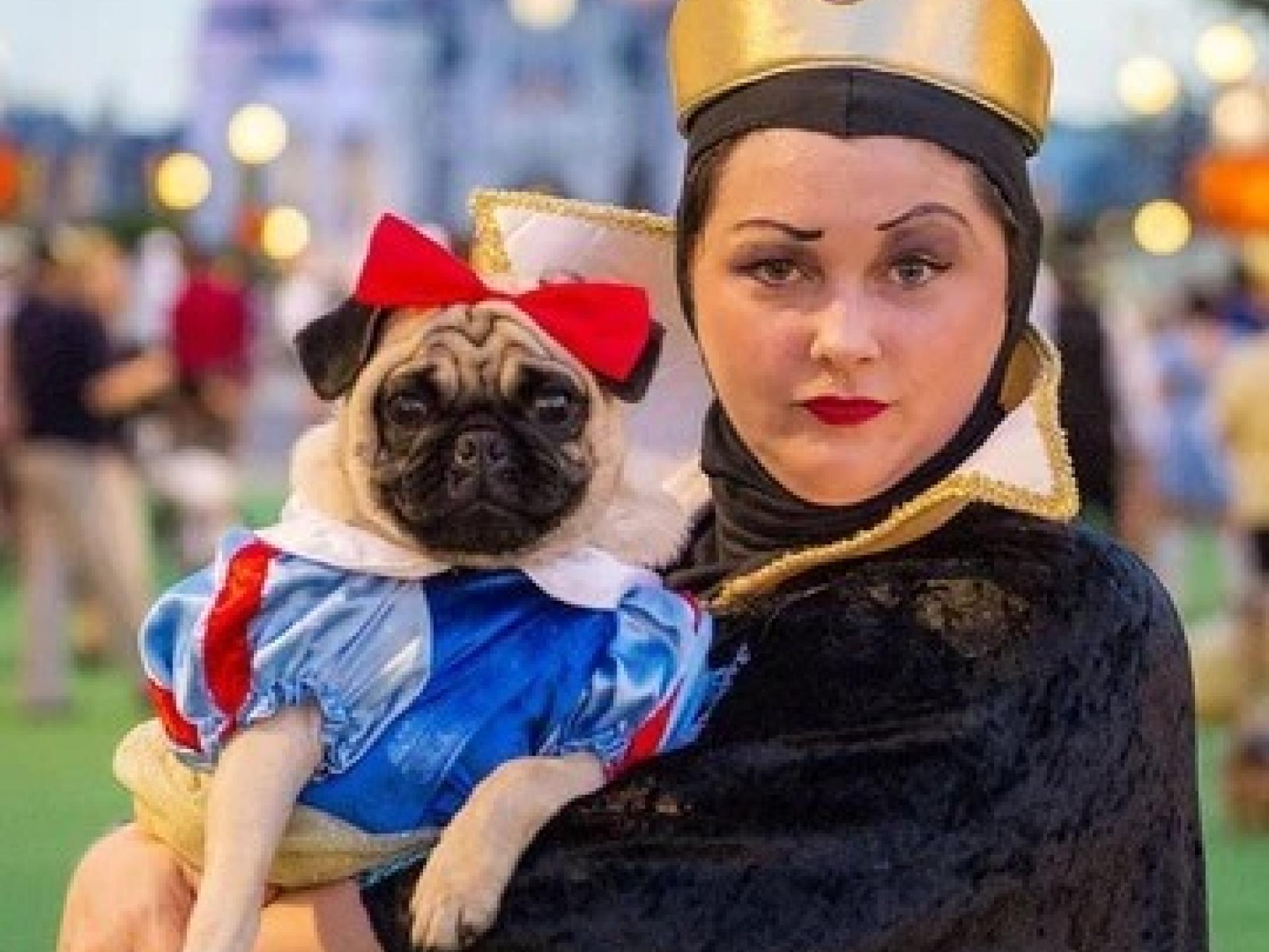 6ad18a01-a158-4a5e-aa5b-7216472c944f