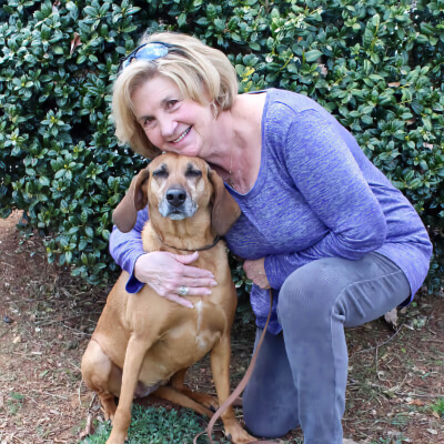 decor image on Animal Hospital of Mebane